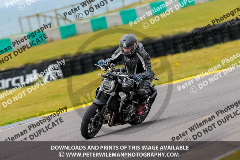 PJ Motorsport 2019;anglesey no limits trackday;anglesey photographs;anglesey trackday photographs;enduro digital images;event digital images;eventdigitalimages;no limits trackdays;peter wileman photography;racing digital images;trac mon;trackday digital images;trackday photos;ty croes